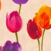 Luca Villa - Tulips & Colors