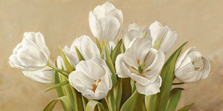 Serena Biffi - Tulipani bianchi