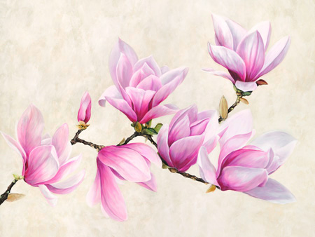 Luca Villa - Ramo di magnolia