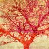 Alessio Aprile - Coral Tree - 3