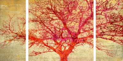 Alessio Aprile – Coral Tree – 3