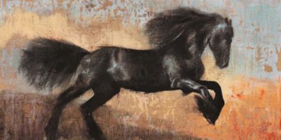 Dario Moschetta – Black Stallion