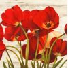 Serena Biffi – French Tulips - 3