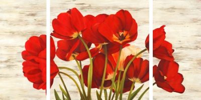 Serena Biffi – French Tulips – 3