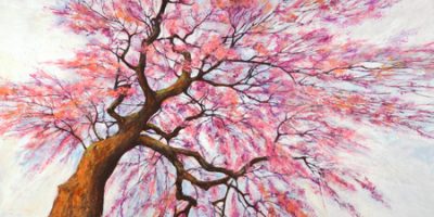 Silvia Mei – Sotto l albero in fiore