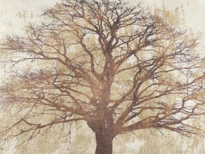 Alessio Aprile – Sacred Oak