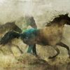 Roko Ken - Horses Wild And Free