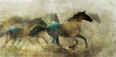 Roko Ken – Horses Wild And Free
