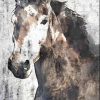 Orlov Irena - Horse Portrait II