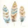 Coulter Cynthia - Watercolor Feathers Neutral II