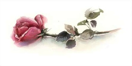 Rodionov Sophia - Simple Rose