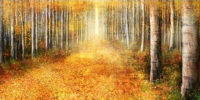 Roko Ken – Yellow Path 1