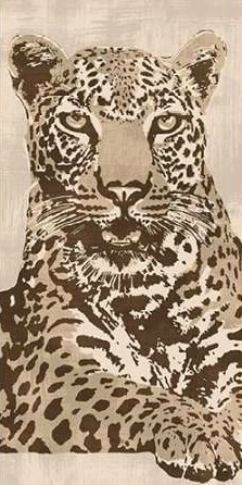 Cooper Andrew – Leopard