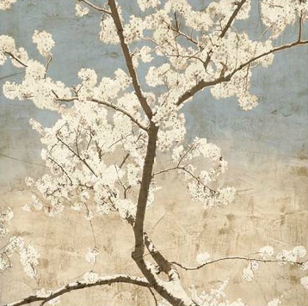 Seba John - Cherry Blossoms I