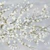 Jensen Asia - White Blossoms