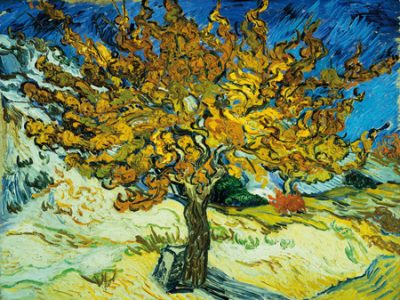Vincent Van Gogh – Mulberry Tree