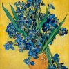 Vincent Van Gogh - Irises IΙ