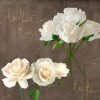 Rizzardi Teo - White Roses