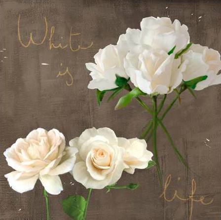 Rizzardi Teo - White Roses