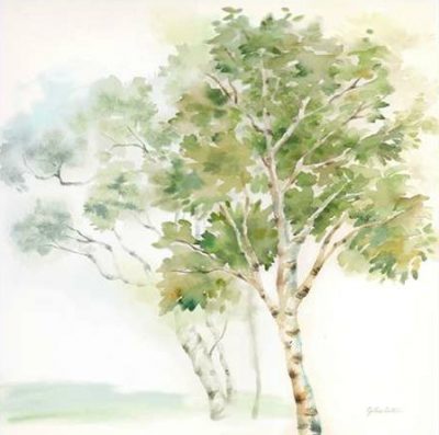 Coulter Cynthia – Woodland Trees II