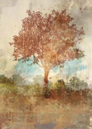 Roko Ken - Sun Dappled Tree