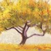 Novak Shirley - Apricot Tree