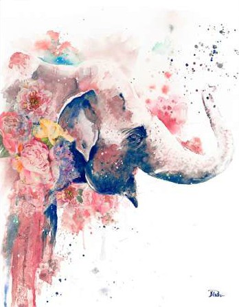 Pinto Patricia - Floral Water Elephant