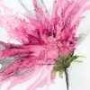 Kroker Wendy - Pink Spider Flower