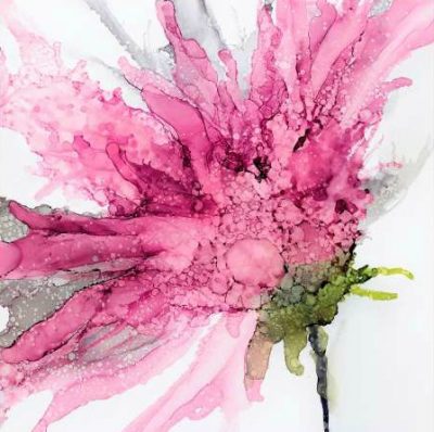 Kroker Wendy – Pink Spider Flower