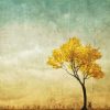 Anonymous - Golden Tree in the Meadow