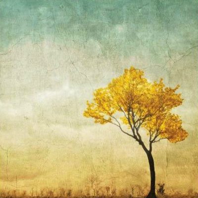 Anonymous – Golden Tree in the Meadow