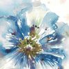 Tre Sorelle Studios - Blue Watercolor Poppy Close Up I