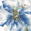 Tre Sorelle Studios - Blue Watercolor Poppy Close Up II