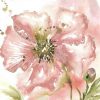 Tre Sorelle Studios - Blush Watercolor Poppy II