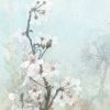 Roko Ken - Climbing Cherry Blossoms II