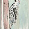 Pinto Patricia - Beige Woodpecker II