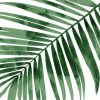 Miller Melonie - Tropical Green Palm I