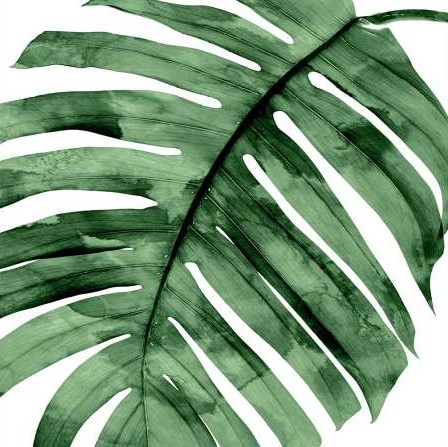 Miller Melonie - Tropical Green Palm II