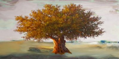 Art Studio – Olive tree II