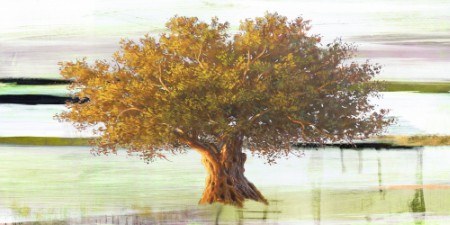 Art Studio - Olive tree I