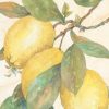 Unknown - Hanging Lemons