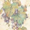 Unknown - Hanging Grapes