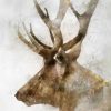 Roko Ken - Stoic Elk