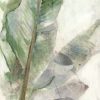 Theodosiou Matina - Tropic Plant