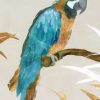 Isabelle Z - Blue Parrot I