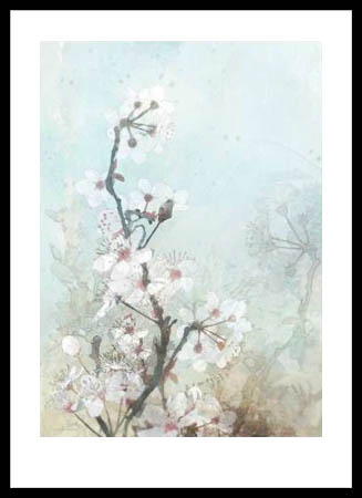 Poster με κορνίζα Roko Ken – Climbing Cherry Blossoms II
