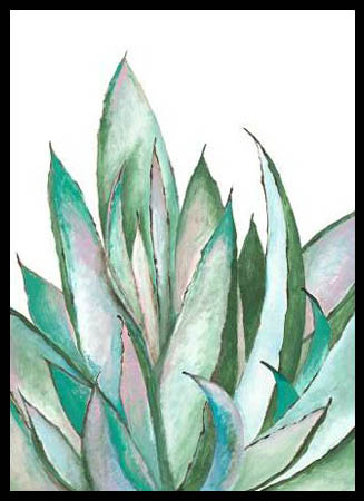 Poster με κορνίζα Loco Filippo – Aloe Succulent