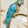 Poster με κορνίζα Isabelle Z – Blue Parrot I