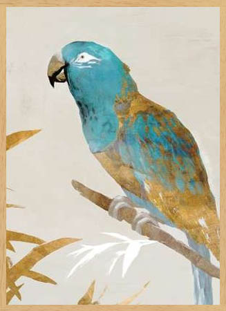 Poster με κορνίζα Isabelle Z – Blue Parrot II