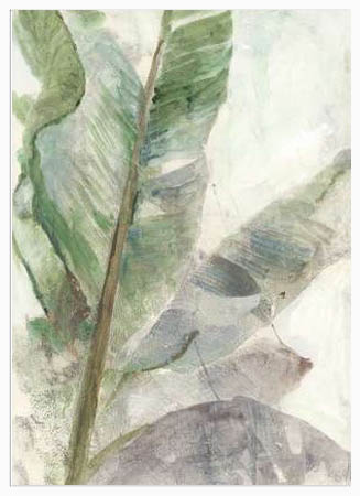 Poster με κορνίζα Theodosiou Matina – Tropic Plant